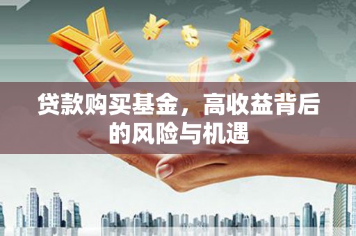 龙崎贷款购买基金，高收益背后的风险与机遇